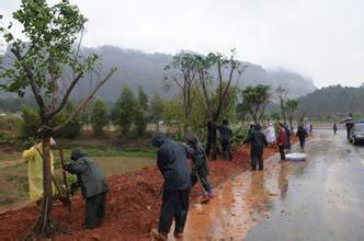 �G���B(y��ng)�o(h��)�Nֲ